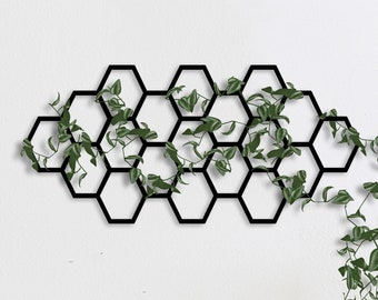 Honeycomb Plant Trellis: Black Steel Hexagon Wall Art