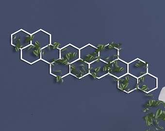 White Metal Honeycomb Wall Trellis: Indoor Plant Decor