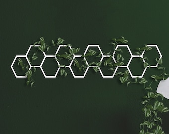 White Metal Honeycomb Wall Trellis: Indoor Plant Decor
