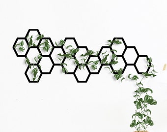 Metal trellis planter, wall plant tellis, Garden Wall Trellis, Indoor Plant Trellis, Honeycomb Wall Planter Trellis, Metal Wall Trellis