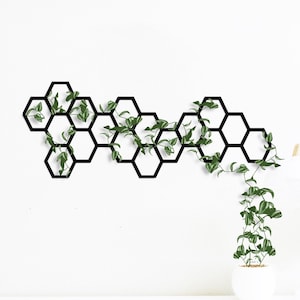 Metalen latwerk plantenbak, wandplant latwerk, tuinmuur latwerk, kamerplant latwerk, honingraat muur plantenbak latwerk, metalen wandlatwerk