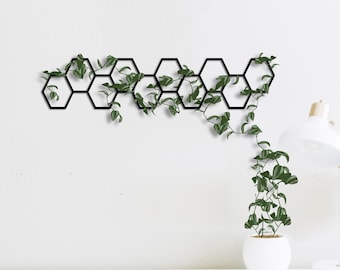 Honeycomb Metal Wall Trellis: Indoor Garden Decor