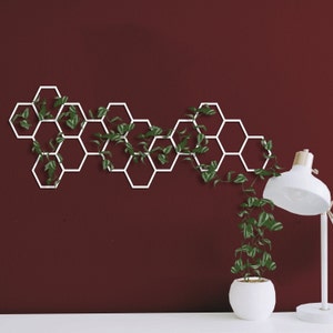 White Honeycomb Metal Wall Plant Trellis: Modern Wall Art