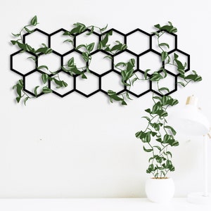 Honeycomb metal wall plant trellis - Honeycomb metal wall art panel