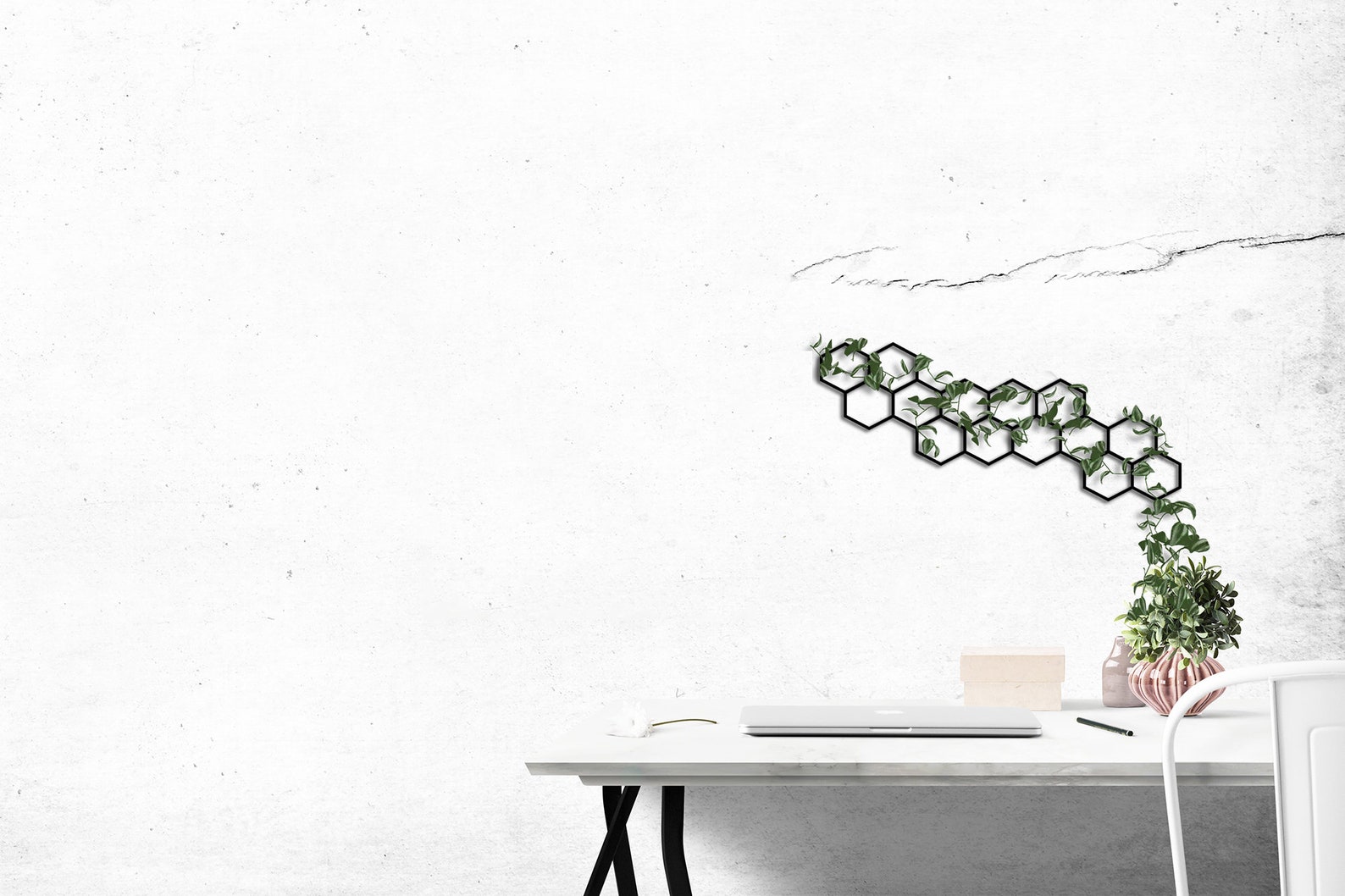 Metal Wall Trellis Metal Wall Art Indoor Plant Trellis Etsy