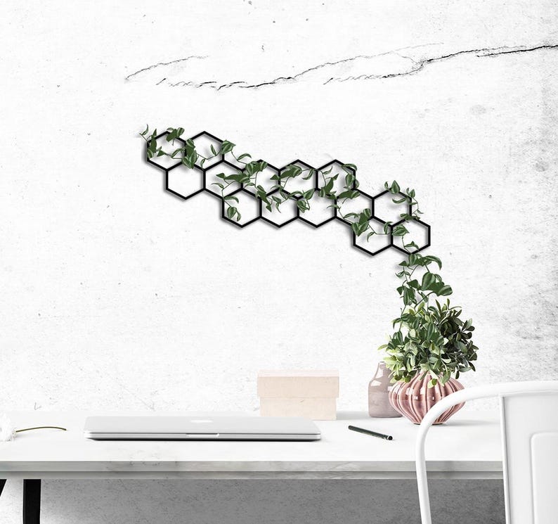 metal wall plant trellis