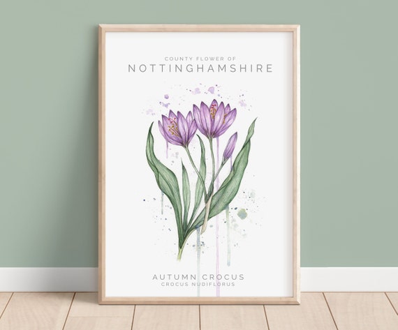 Crocus {Poster} Crocus {Poster}