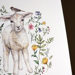 May include: A watercolor painting of a white lamb standing in a field of flowers. The lamb is surrounded by yellow, pink, and purple flowers, and a small bird is perched on its head.