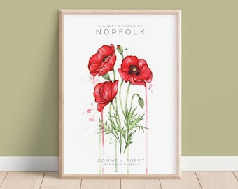 Watercolour Red Poppy, County Flower Of Norfolk Print, Botanical Floral Poppies Painting Poster Illustration Fine Art A4 Print