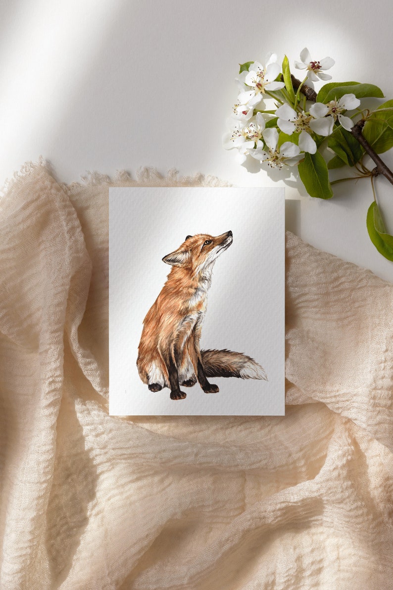 Biscuit the Fox, Urban Fox Charity Print Nature Watercolour Illustration Fine Art Mini Print, Animal Nursery Art, 5x7 A5 image 2