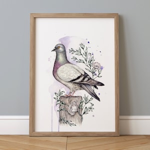 Pigeon Watercolour Print, Cute Illustrated Bird Artwork, Giclee Fine Art Print A4 A5 - Mr Pigeon