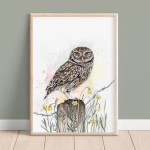 Watercolour Little Owl Print, A5 A4 Bird Painting, Owl Poster Illustration Wall Art Gift for Bird Lovers