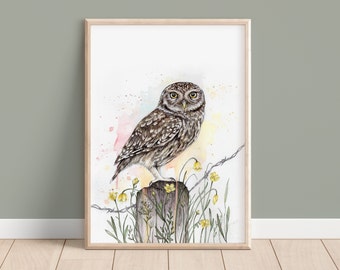 Watercolour Little Owl Print, A5 A4 Bird Painting, Owl Poster Illustration Wall Art Gift for Bird Lovers