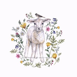 May include: A watercolor illustration of a white lamb standing in a circle of colorful flowers. A small bird sits on the lamb's head. The illustration is titled "ILLUSTRATION BY DAISY MAUDE".