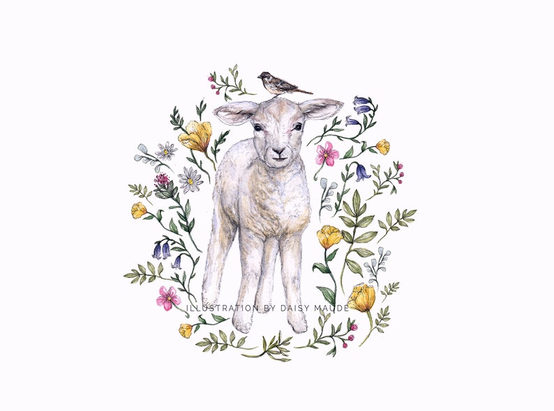 May include: A watercolor illustration of a white lamb standing in a circle of colorful flowers. A small bird sits on the lamb's head. The illustration is titled "ILLUSTRATION BY DAISY MAUDE".