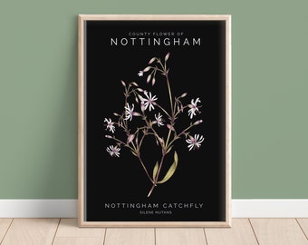Nottingham Catchfly Watercolour Print, County Flower Of Notts Botanical Floral Painting Poster Illustration Fine Art A4 Giclee Print