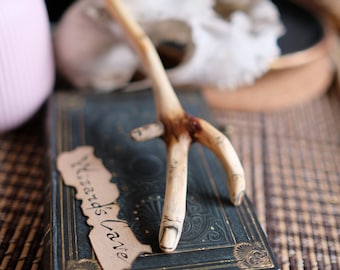 Wooden Hair Stick for Real Witch from Nature