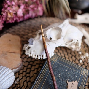 Op de afbeelding: Een houten haaknaald met bruine en gouden accenten, liggend op een vintage boek met een zwarte kaft en gouden details. Het boek heeft een label met de tekst "World's Cave". De haaknaald ligt op een geweven mat met een witte dieren schedel op de achtergrond.