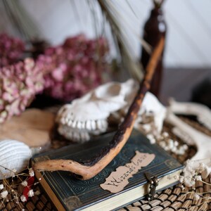 May include: A closed book with a green cover and a brown leather label that says "Wizard's Guide". A wooden wand is resting on top of the book. The book is on a woven mat with a white seashell and dried flowers.