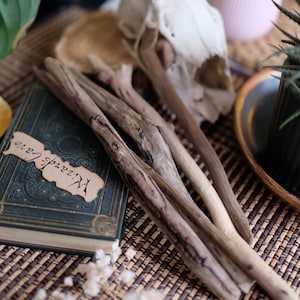 Baltic Sea Driftwood Sticks: Art, Macrame, Aquarium Decor (Set of 5)