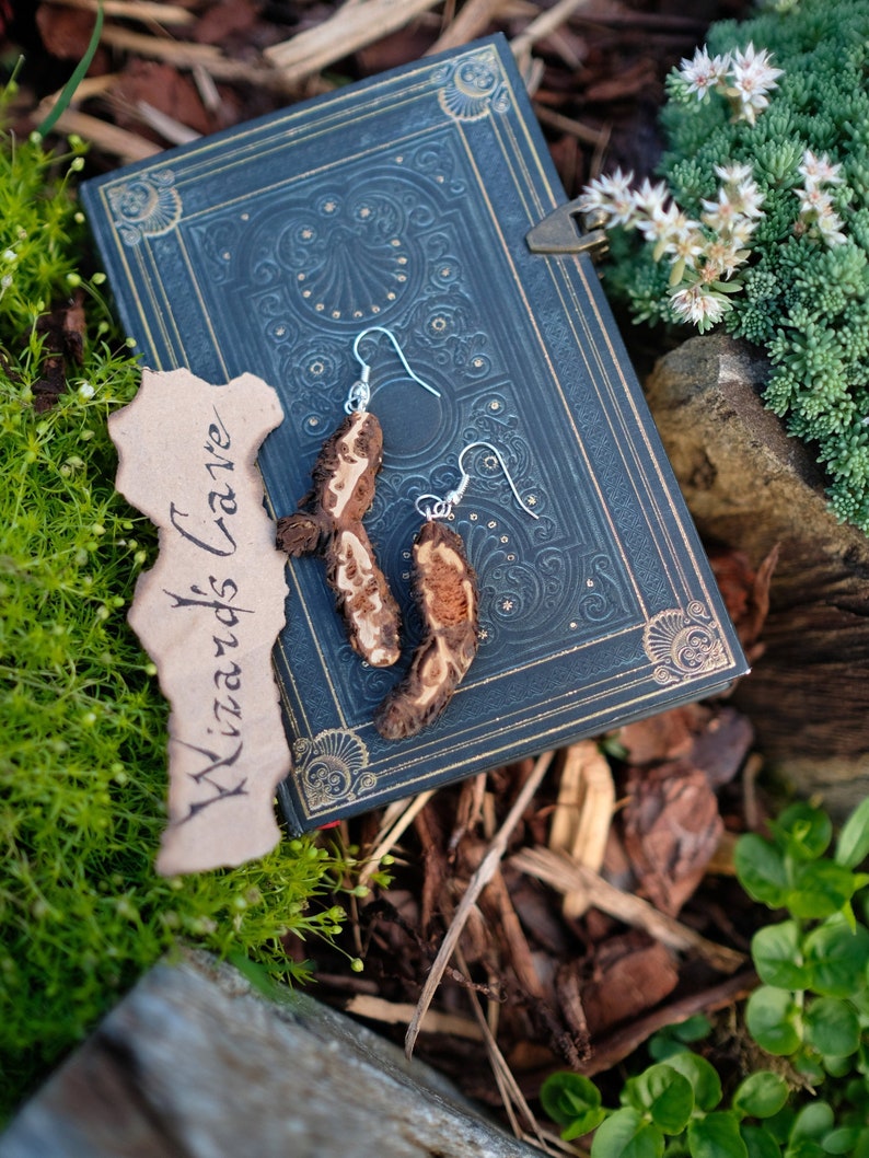 Natural Strawberry Root Dangle Earrings One of The Kind image 1