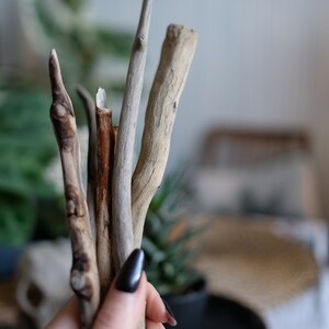 Drift wood sticks for arts and crafts, drift wood from Baltic sea, drift wood, art supplies, macramé supplies image 8