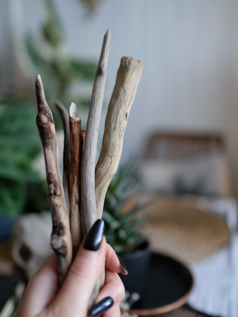 Drift wood sticks for arts and crafts, drift wood from Baltic sea, drift wood, art supplies, macramé supplies image 8