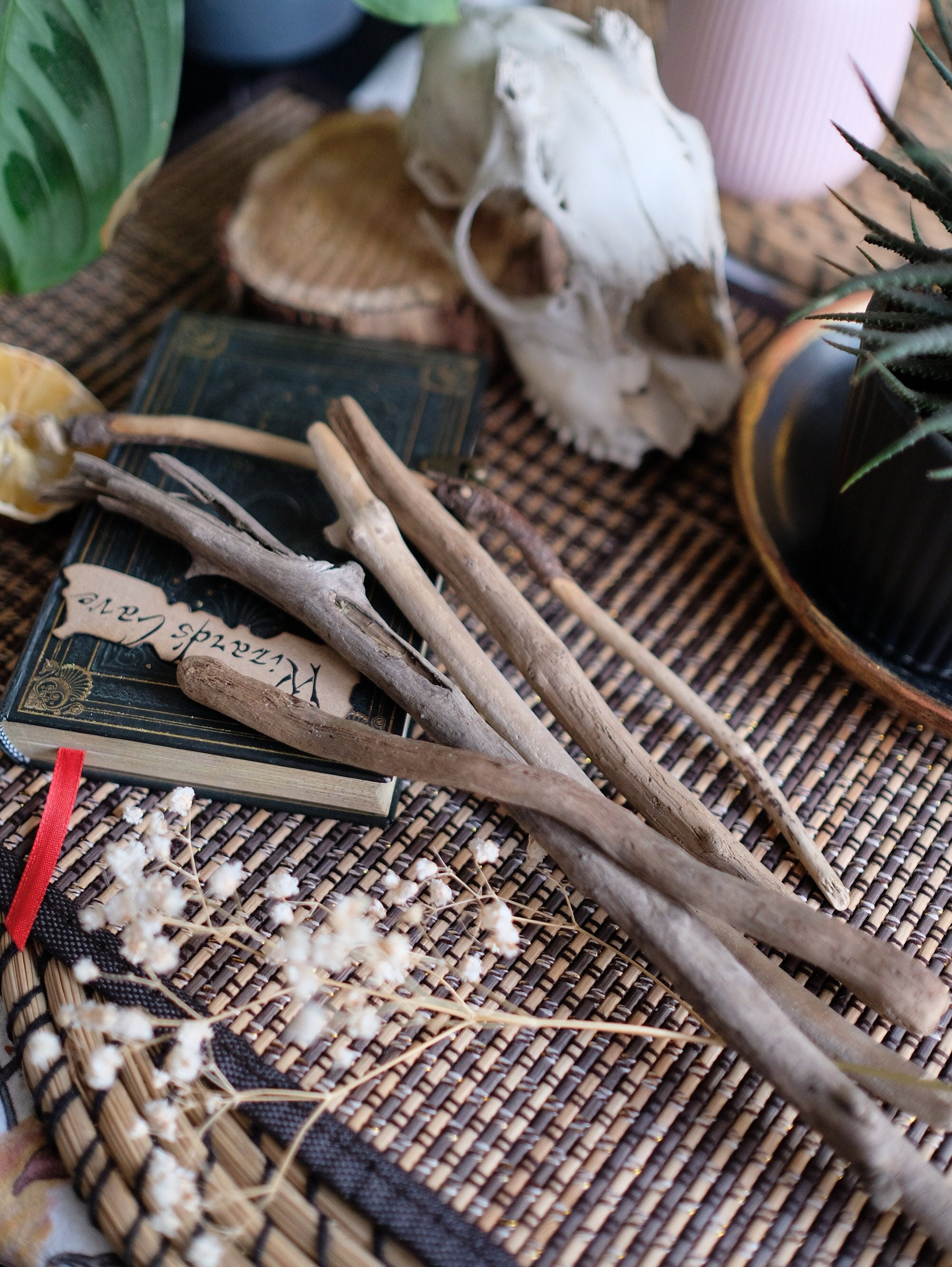 Pine Sticks Bundle Pine Tree Wood Sticks Wooden Twigs Natural Branches Wand  Wood or Home Decor Rustic Primitive Woodland Forest Themed 