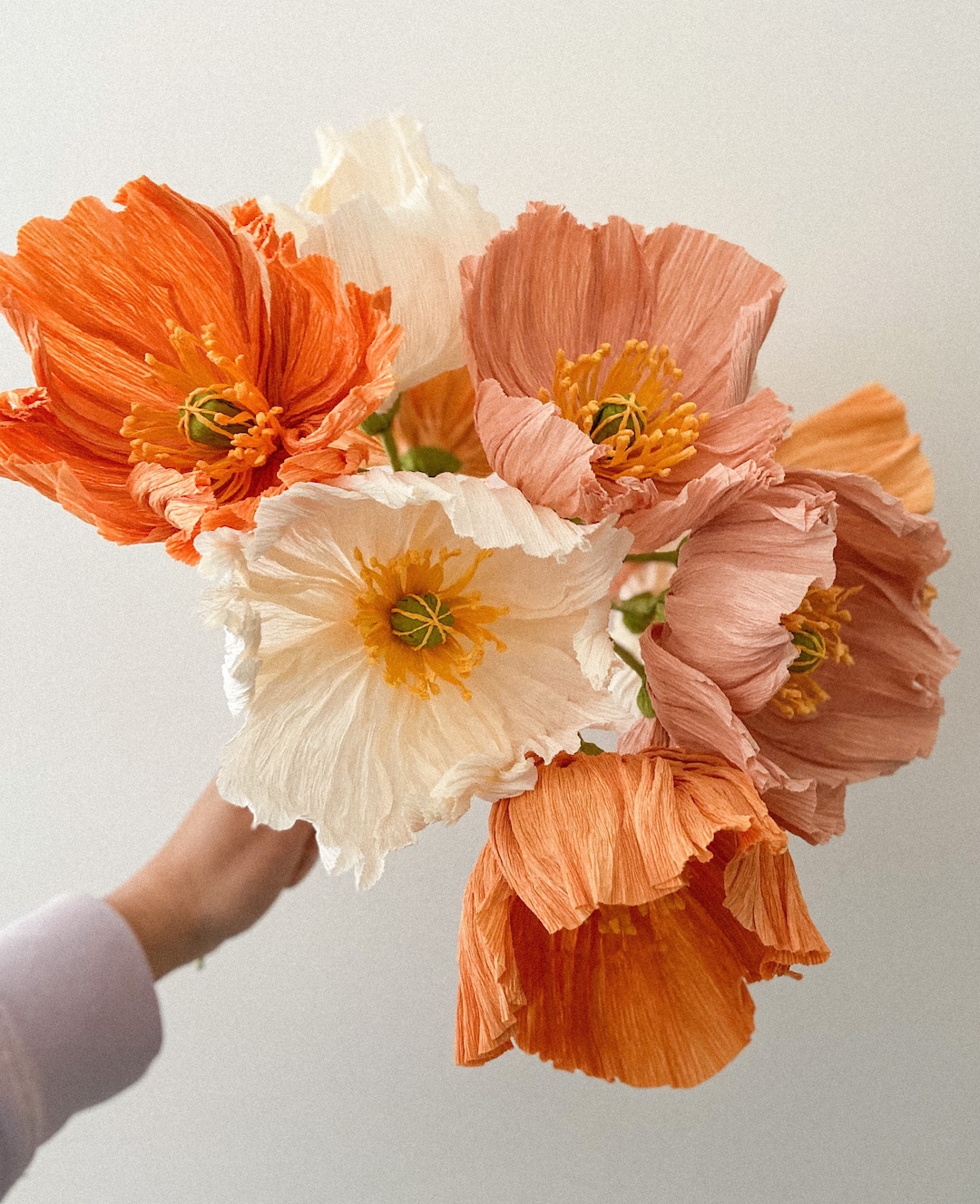 Icelandic Poppies Bouquets Etsy