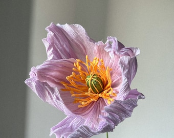 Isländische Mohnblumensträuße