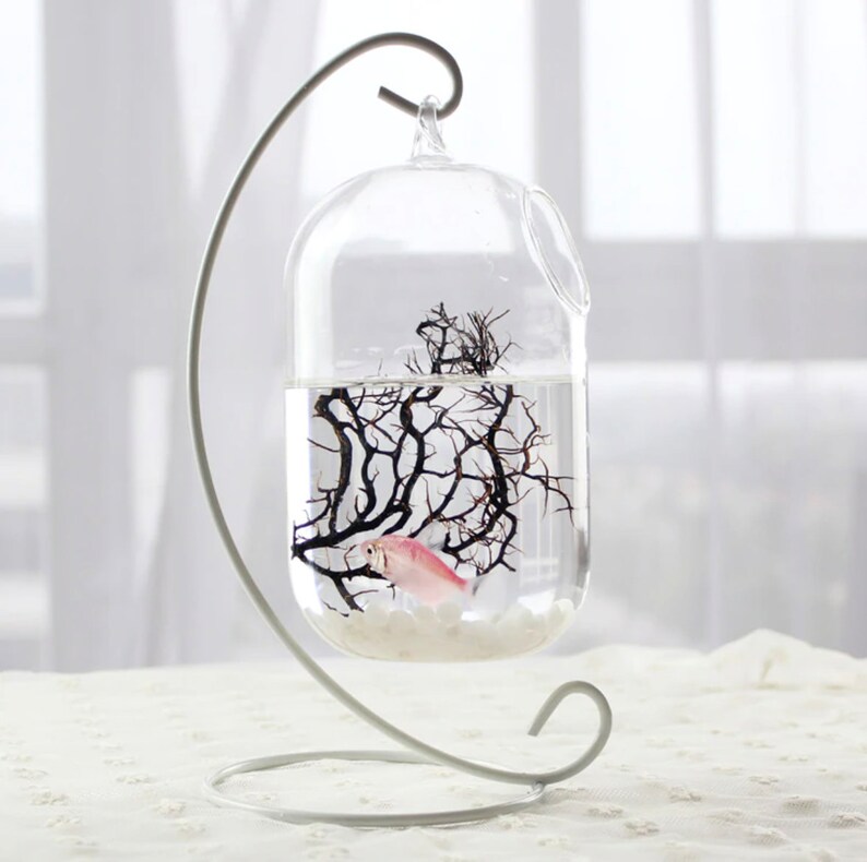 Metal Stand for Terrariums Hanging Ornaments Plants Home Etsy Canada