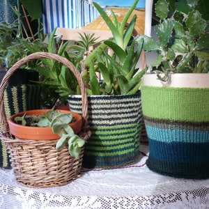 以下が含まれることがあります： 緑、青、茶色のストライプのニットカバーをつけた鉢植えの植物が4つあります。植物はさまざまなサイズと形をしています。カバーはすべて手編みです。