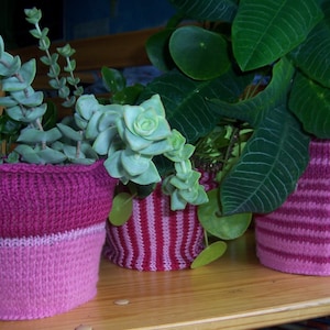 以下が含まれることがあります： ピンクと白のストライプのニット製の鉢に入った3つの植物。植物は多肉植物、緑の葉の植物、そして垂れ下がった植物です。
