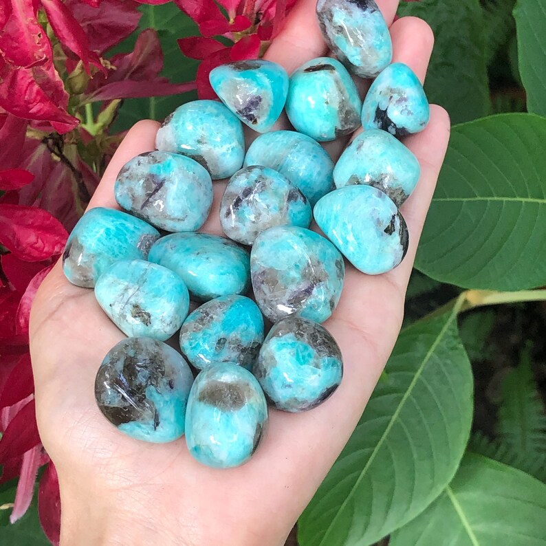 Amazonite And Smokey Quartz Tumbled Stones Amazonite Amazonite Stones Rocks And Minerals Amazonite Tumbled Stone Amazonite Stone Rocks Geodes Home Decor Safarni Org
