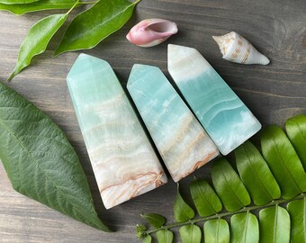 May include: Three blue and white banded agate crystal points on a wooden surface with green leaves and seashells.