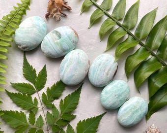Caribbean Green Aragonite Palm Stone: Meditation Crystal