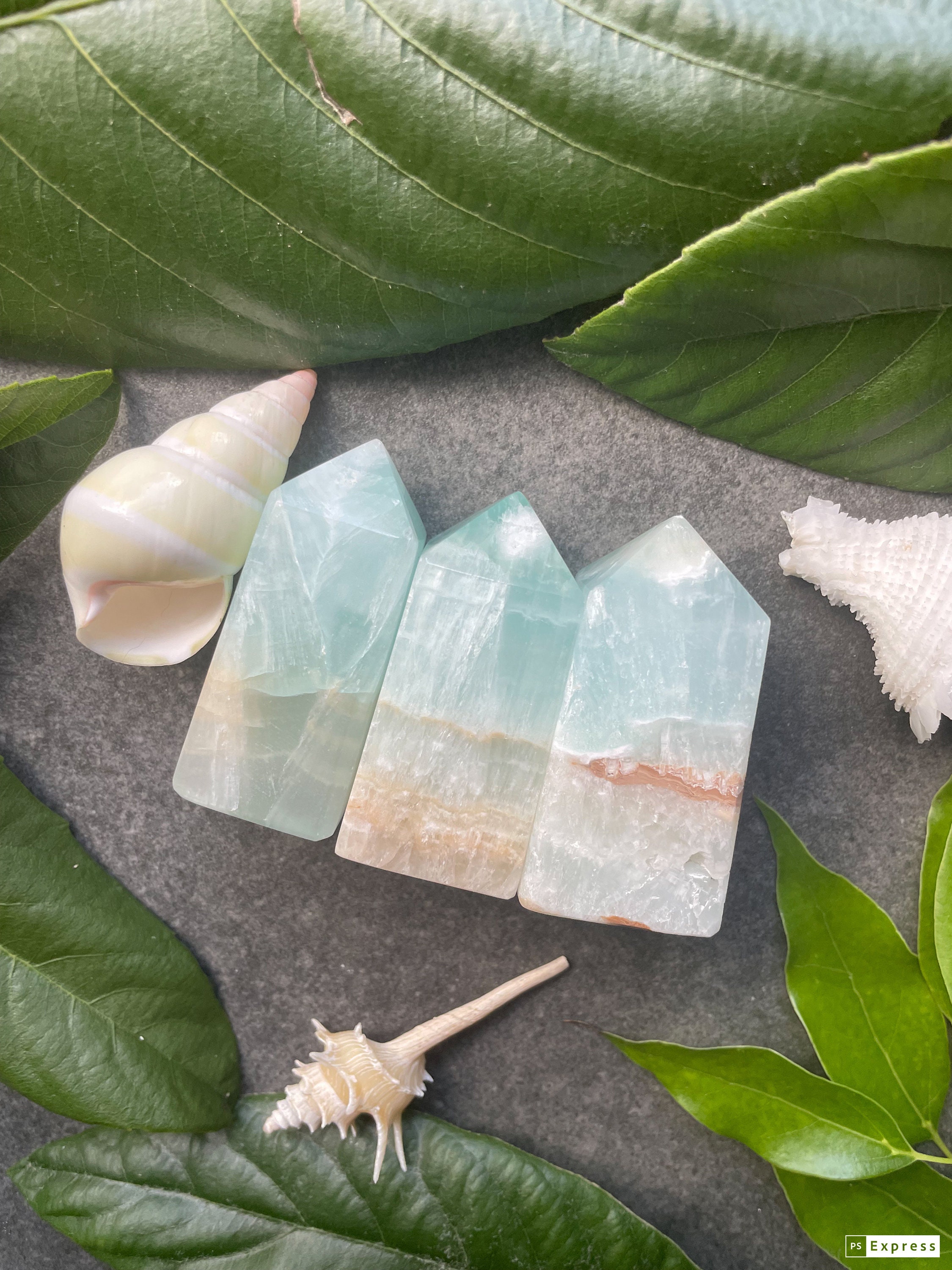 カリブ海カルサイトミニタワー：アクアシーフォームカーミング