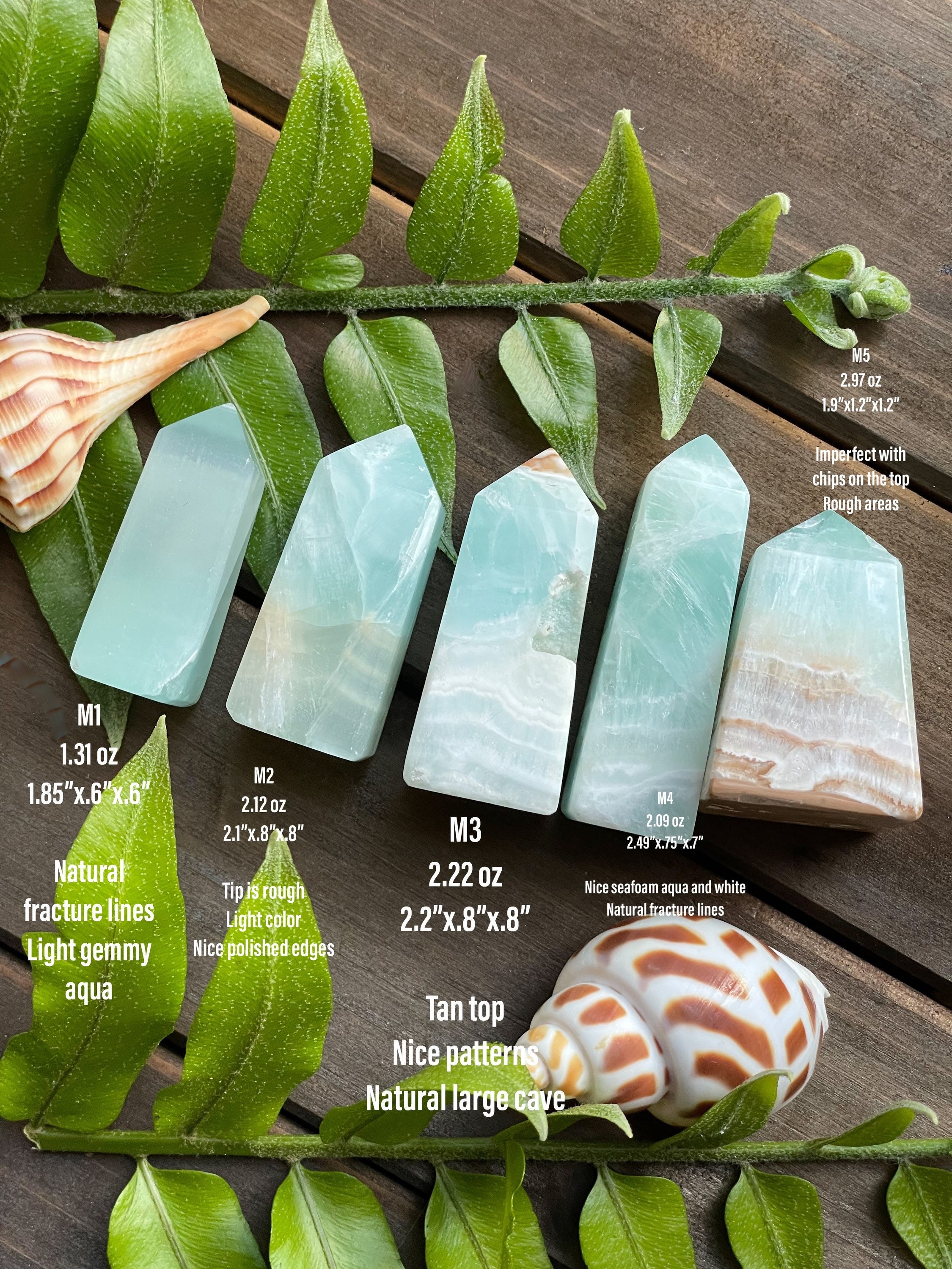 カリブ海カルサイトミニタワー：アクアシーフォームカーミング