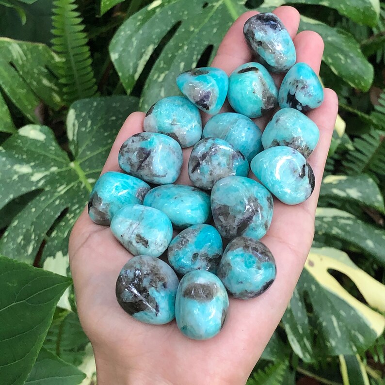 Amazonite And Smokey Quartz Tumbled Stones Amazonite Amazonite Stones Rocks And Minerals Amazonite Tumbled Stone Amazonite Stone Rocks Geodes Home Decor Safarni Org