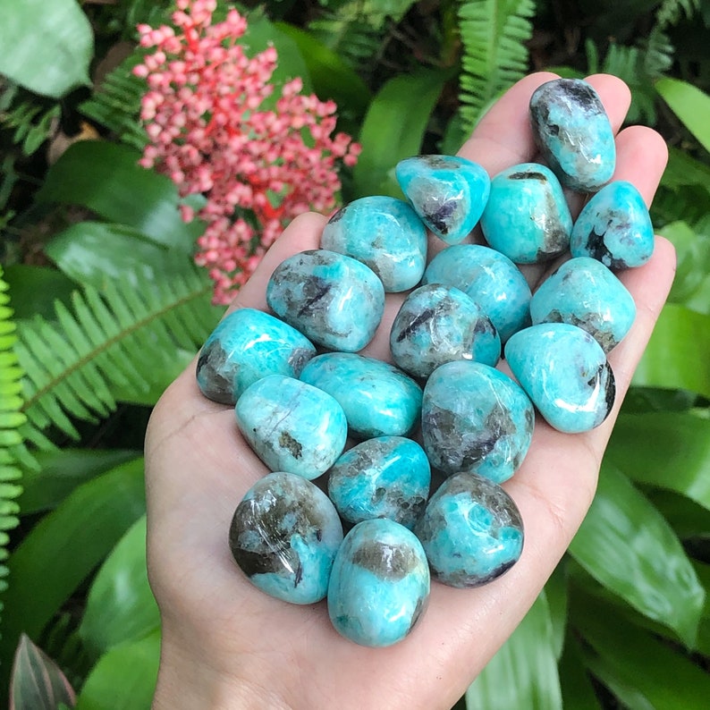 Amazonite And Smokey Quartz Tumbled Stones Amazonite Amazonite Stones Rocks And Minerals Amazonite Tumbled Stone Amazonite Stone Rocks Geodes Home Decor Safarni Org