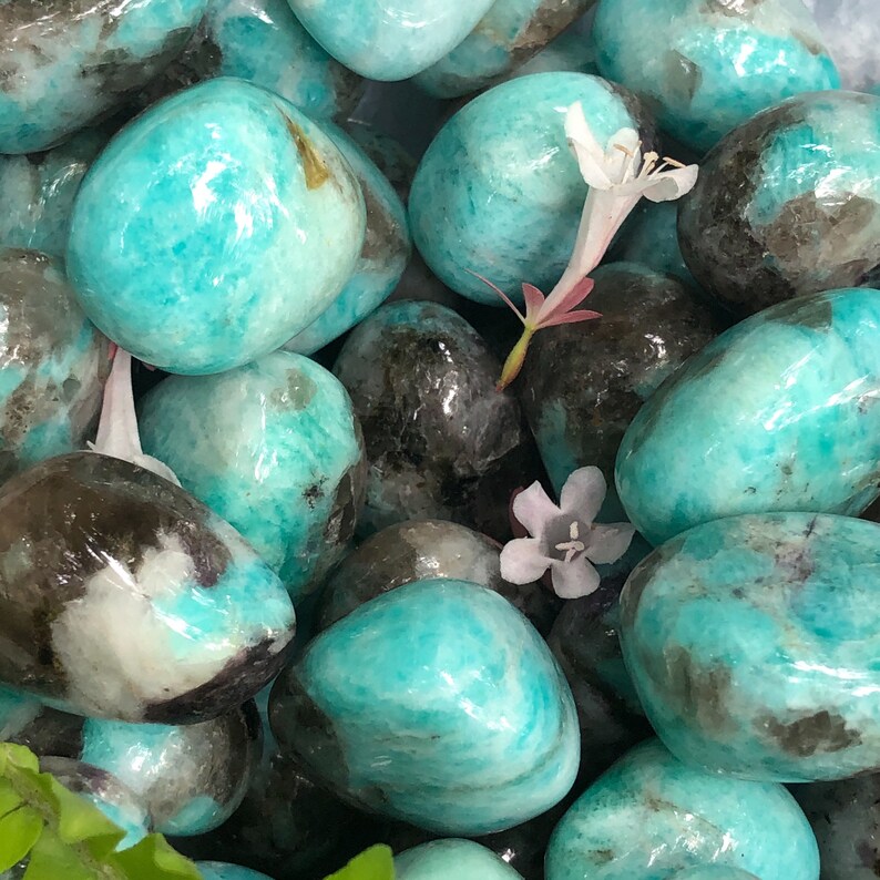 Amazonite And Smokey Quartz Tumbled Stones Amazonite Amazonite Stones Rocks And Minerals Amazonite Tumbled Stone Amazonite Stone Rocks Geodes Home Decor Safarni Org