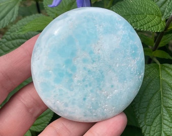 Caribbean Calcite Palm Stone: Seafoam Calming Crystal, Spiritual Gift