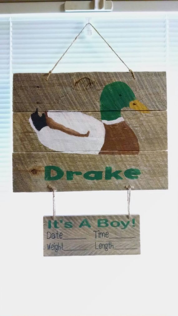 Personalized birth announcement door hanger.