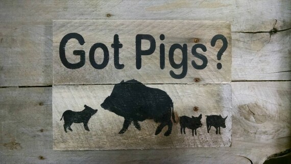 Got Pigs? reclaimed pallet wood sign