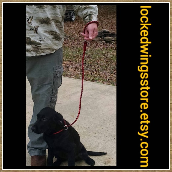 Paracord Slip Leads for Dogs - Pet Leash - Training Lead - Custom