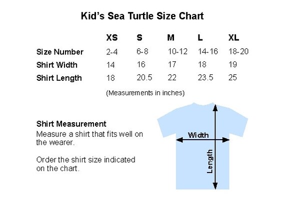 Sea Turtle Size Chart