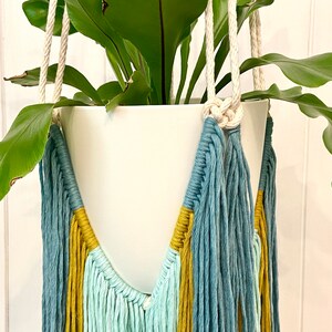 Macrame Fringe Plant Hanger - Jade / Citron / Aqua