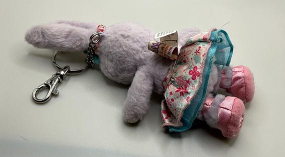 ハワイのアウラニディズニーリゾートのレアなディズニーステラルーキー