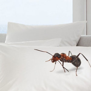 Printed Pillow Case Standard/Queen Sized Pillow Case - Eco Friendly Bedding -Ant - Handmade - Printed Bedding