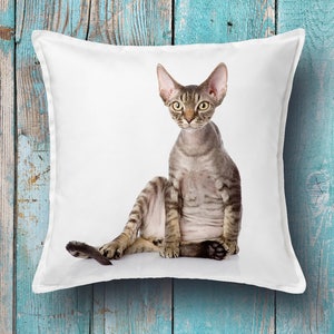 Cat cushion cover - Cat decorative pillow cover, Cat throw pillow cover, Canvas pillow, Throw pillow, Toss pillow, Decorative pillow